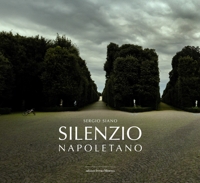 Immagine copertina libro Silenzio napoletano