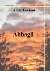 Immagine copertina libro Abbagli