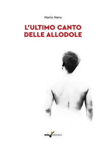 Immagine copertina libro L'ultimo canto delle allodole