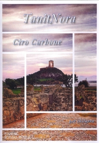Immagine copertina libro TanitNora