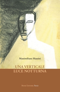 Immagine copertina libro Una verticale luce notturna