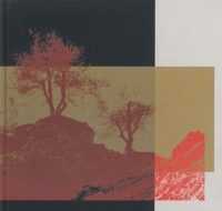 Immagine copertina libro Romagna sfigurata. Ediz. illustrata