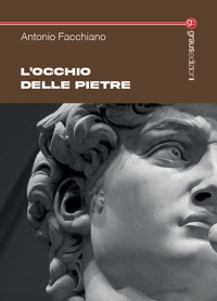 Immagine copertina libro L'occhio delle pietre