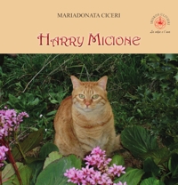 Immagine copertina libro Harry micione