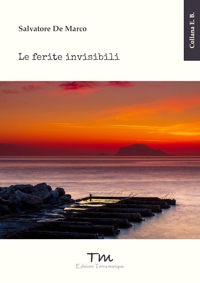 Immagine copertina libro Le ferite invisibili
