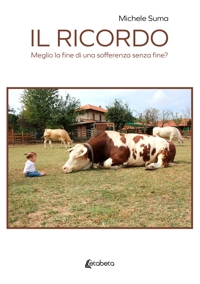 Immagine copertina libro Il ricordo. Meglio la fine di una sofferenza senza fine?