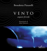 Immagine copertina libro Vento. Aequore fervido
