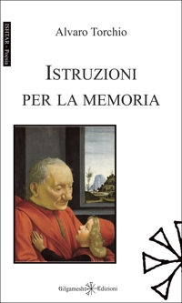 Immagine copertina libro Istruzioni per la memoria