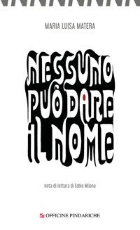 Immagine copertina libro Nessuno può dire il nome