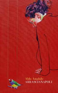 Immagine copertina libro Arrascianapoli