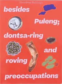 Immagine copertina libro Simnikiwe Buhlungu: besides Puleng; dontsa-ring and roving preoccupations