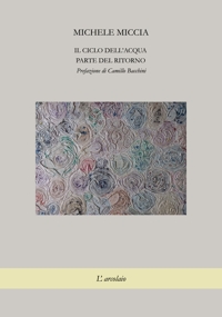 Immagine copertina libro Il ciclo dell'acqua. Parte del ritorno