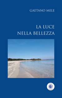 Immagine copertina libro La luce nella bellezza