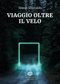 Immagine copertina libro Viaggio oltre il velo