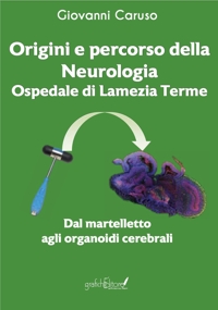 Immagine copertina libro Origini e percorso della neurologia. Ospedale di Lamezia Terme. Dal martelletto agli organoidi cerebrali