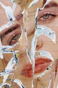 Immagine copertina libro Hilarius Hofstede. The collages