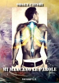 Immagine copertina libro Mi mancano le parole