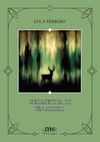 Immagine copertina libro Geometria di un abisso