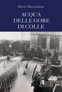 Immagine copertina libro Acqua delle gore di Colle