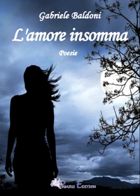 Immagine copertina libro L'amore insomma