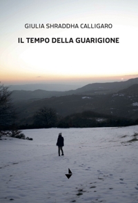 Immagine copertina libro Il tempo della guarigione