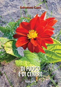 Immagine copertina libro Di fuoco e di cenere