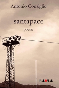 Immagine copertina libro Santapace
