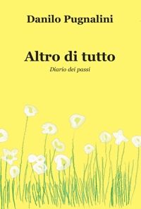 Immagine copertina libro Altro di tutto. Diario dei passi