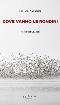 Immagine copertina libro Dove vanno le rondini