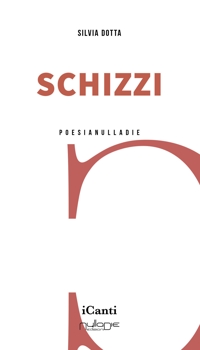 Immagine copertina libro Schizzi