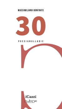 Immagine copertina libro 30