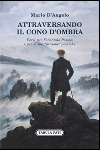 Immagine copertina libro Attraversando il cono d'ombra