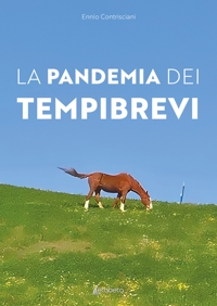 Immagine copertina libro La pandemia dei tempi brevi
