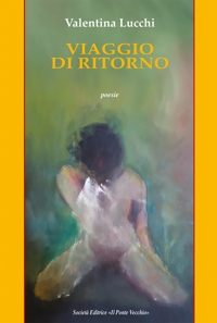 Immagine copertina libro Viaggio di ritorno