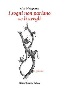 Immagine copertina libro I sogni non parlano se li svegli