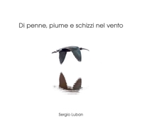 Immagine copertina libro Di penne, piume e schizzi nel vento. Ediz. illustrata