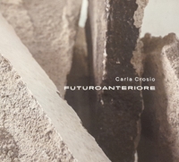 Immagine copertina libro Futuro anteriore