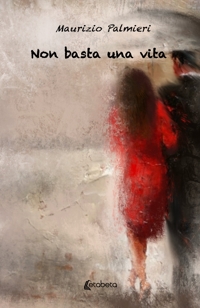 Immagine copertina libro Non basta una vita
