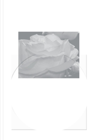 Immagine copertina libro Word is round