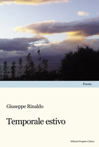 Immagine copertina libro Temporale estivo