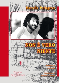 Immagine copertina libro Non è vero niente