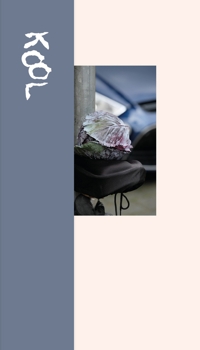 Immagine copertina libro Magali Reus: Kool. A type specimen