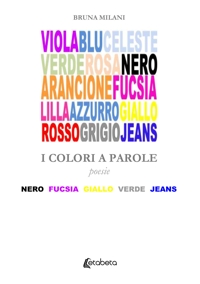 Immagine copertina libro I colori a parole