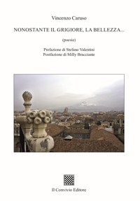 Immagine copertina libro Nonostante il grigiore, la bellezza...