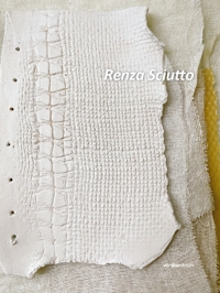 Immagine copertina libro Renza Sciutto. Ediz. italiana e inglese