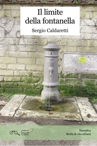 Immagine copertina libro Il limite della fontanella