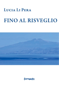 Immagine copertina libro Fino al risveglio