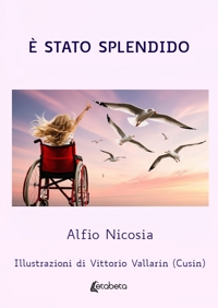 Immagine copertina libro È stato splendido