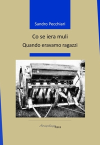 Immagine copertina libro Co se iera muli. Quando eravamo ragazzi