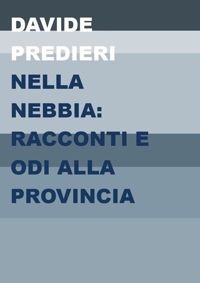 Immagine copertina libro Nella nebbia: racconti e odi alla provincia